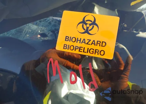 2017 Chevrolet Silverado 1500 Wt z USA, uszkodzony, nr VIN 1GCNCNEHXHZ315534